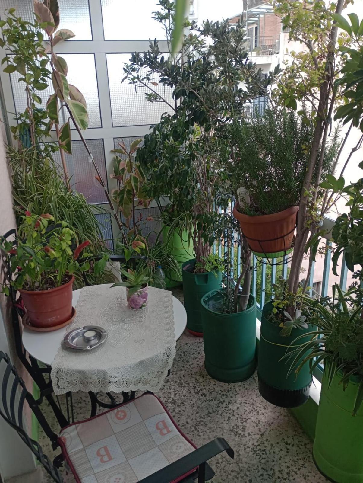 Athens Neoclassical エクステリア 写真